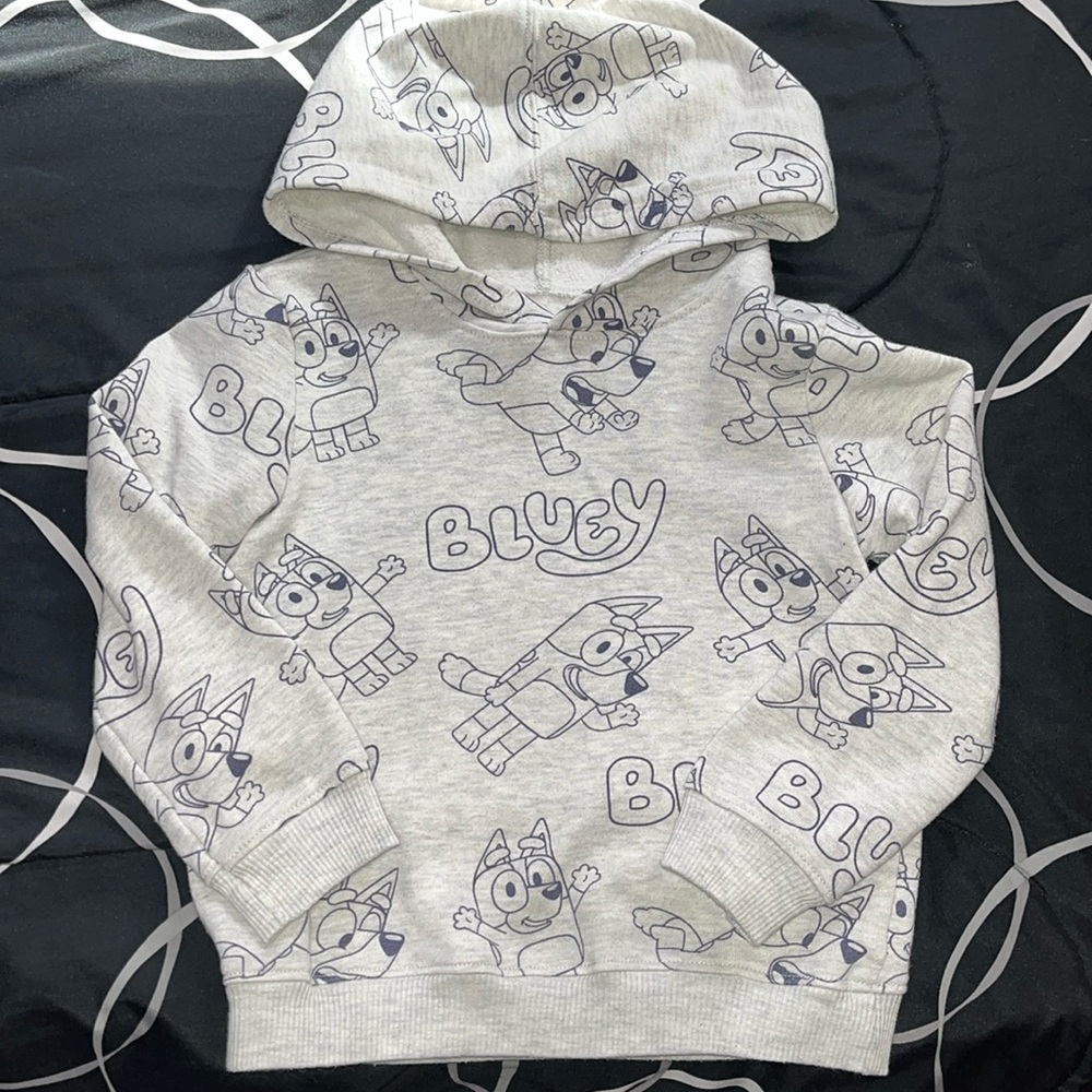 Bluey hoodie